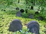 Będzin -cmentarz żydowski