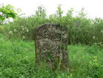 Macewa na cmentarzu żydowskim w Birczy