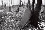Błażowa - cmentarz żydowski