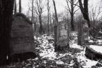 Błażowa - cmentarz żydowski