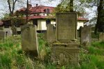 Macewy na cmentarzu żydowskim w Brzegu