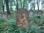nagrobki na cmentarzu żydowskim w Brzesku