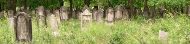 cmentarz żydowski w Chrzanowie