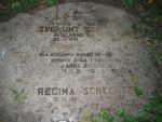 pozostałości cmentarza żydowskiego w Czechowicach Dziedzicach