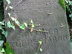 pozostałości cmentarza żydowskiego w Czechowicach Dziedzicach
