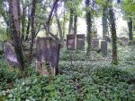 Cmentarz żydowski w Częstochowie Jewish cemetery in Częstochowa
