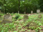 cmentarz żydowski w Debrznie