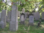 groby na cmentarzu żydowskim w Dzierżoniowie