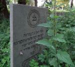 Gdańsk Chełm - cmentarz żydowski