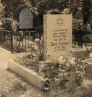 Głogów - aleja lipowa na zniszczonym cmentarzu żydowskim