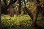 Macewy na cmentarzu żydowskim w Jastrowiu. Foto: Robert Cierniak