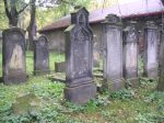 Kamienna Góra - macewy na cmentarzu żydowskim