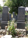 Kłodzko - macewy na cmentarzu żydowskim