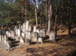 Kobyla Góra - cmentarz żydowski