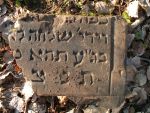 Kraśnik - macewy na cmentarzu żydowskim