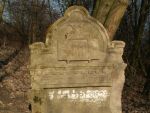 Kraśnik - macewy na cmentarzu żydowskim