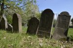 Krosno - cmentarz żydowski