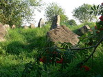 cmentarz żydowski - Krynki
