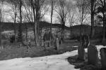 Cmentarz żydowski w Łabowej Jewish cemetery in Labowa