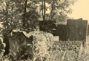 archiwalne zdjęcie wykonane na cmentarzu żydowskim w Lesznie