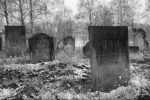 cmentarz ydowski w owiczu
