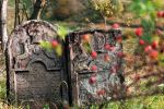 Macewa na cmentarzu żydowskim w Lutowiskach