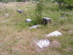 Miasteczko Śląskie - cmentarz żydowski
