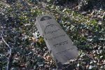 macewa na cmentarzu żydowskim w Mikołowie