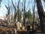 Cmentarz żydowski w Mysłowicach