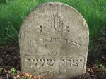 cmentarz żydowski w Nowym Sączu - nagrobek