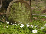 macewa na cmentarzu żydowskim w Nowym Wiśniczu
