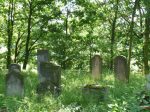 cmentarz żydowski w Olesnie