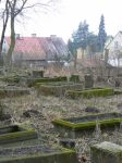 Pasłęk - widok ogólny cmentarza żydowskiego