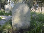Macewa na cmentarzu żydowskim w Przasnyszu