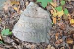 Przysucha - cmentarz żydowski 