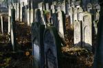 Radomsko - nagrobki na cmentarzu żydowskim