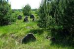 Różana na Białorusi - cmentarz żydowski