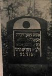 Skopanie - archiwalne zdjęcie cmentarza żydowskiego