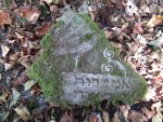 Fragment macewy na cmentarzu żydowskim w Solcu nad Wisłą