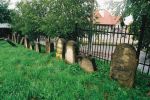 Strzyżów - macewa na cmentarzu żydowskim