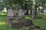 Szczytno - cmentarz żydowski