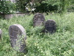 Szydłowiec - nagrobki na cmentarzu żydowskim