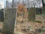 Szydłowiec - nagrobki na cmentarzu żydowskim