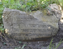 Macewa na cmentarzu żydowskim w Tarczynie