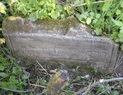 Macewa na cmentarzu żydowskim w Tarczynie