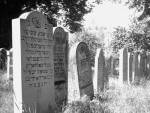 wejście na cmentarz żydowski w Wadowicach