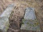 cmentarz żydowski w Wiskitkach