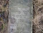 cmentarz żydowski w Wiskitkach