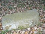 Wiślica - nagrobek na cmentarzu żydowskim