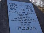 Cmentarz żydowski w Żarnowcu Jewish cemetery in Zarnowiec